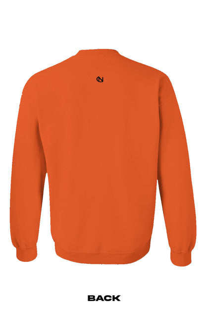 Unisex Cipher Crewneck Longsleeve - Clean